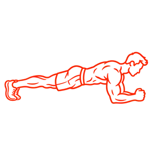 Personal Trainer ROMA 59 Corpo libero a roma
